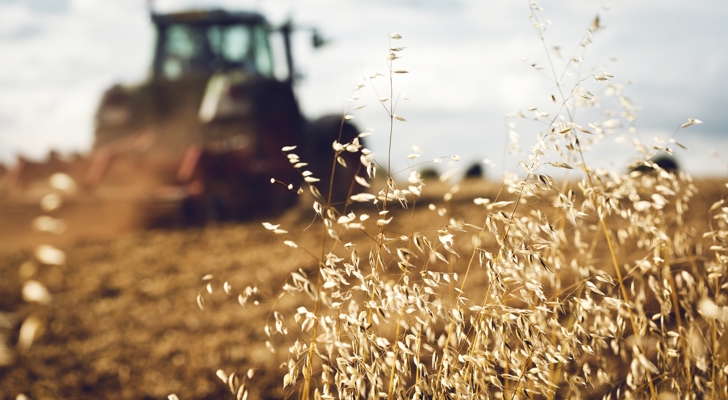 Traktor på kornmark