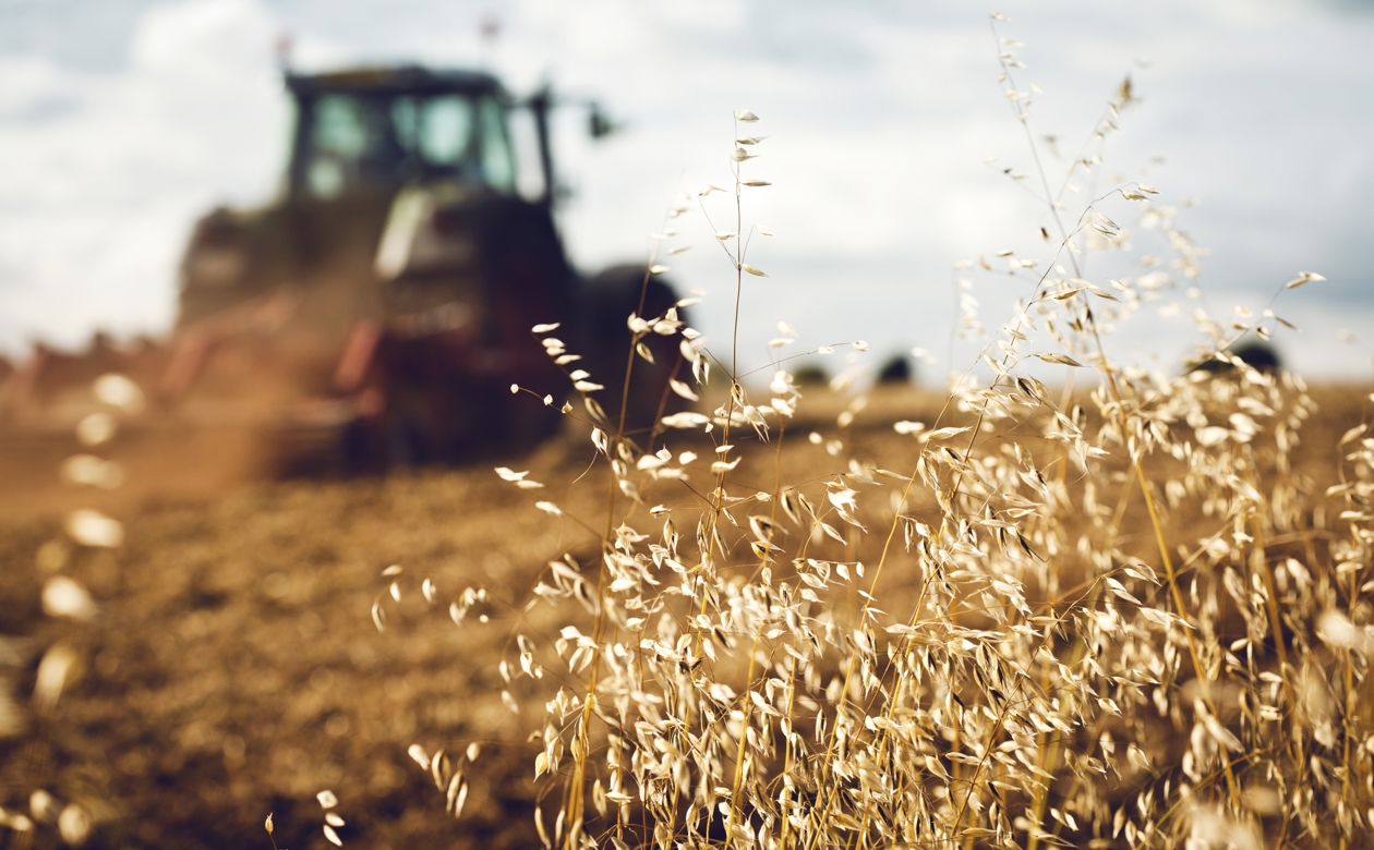 Traktor på kornmark