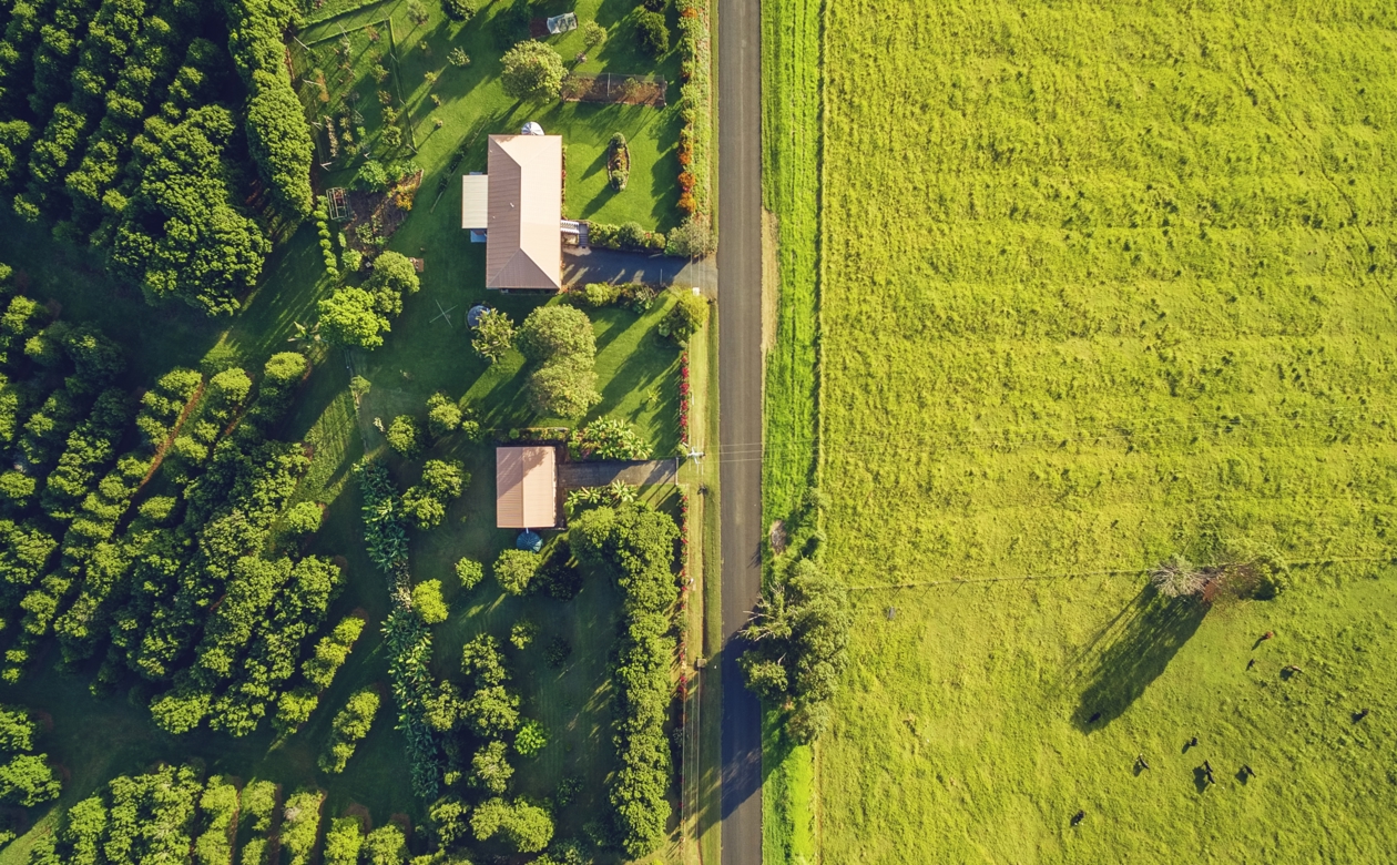 Ejendom ved landevej og grøn mark fra fulgeperspektiv 