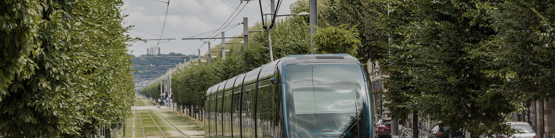 En letbane der kører mellem træer