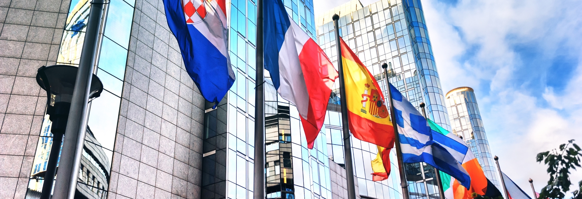 Europæiske flag 