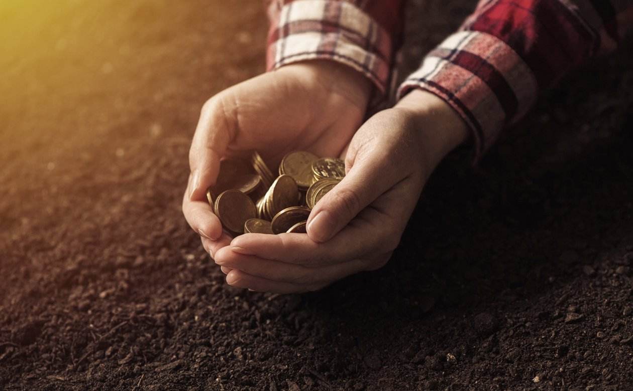 Hænder som holder mønter i jord
