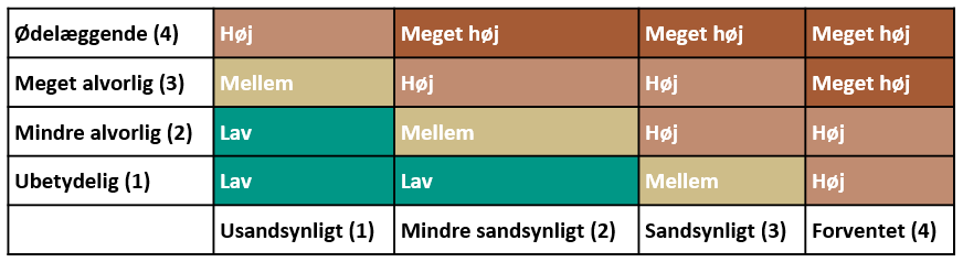 Matrix Til Risikovurdering (Indsigt)