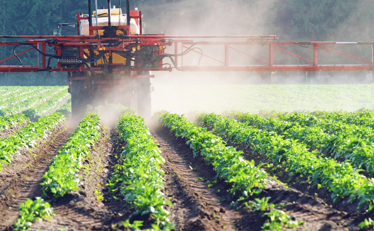 Mejetærkser på grøn mark