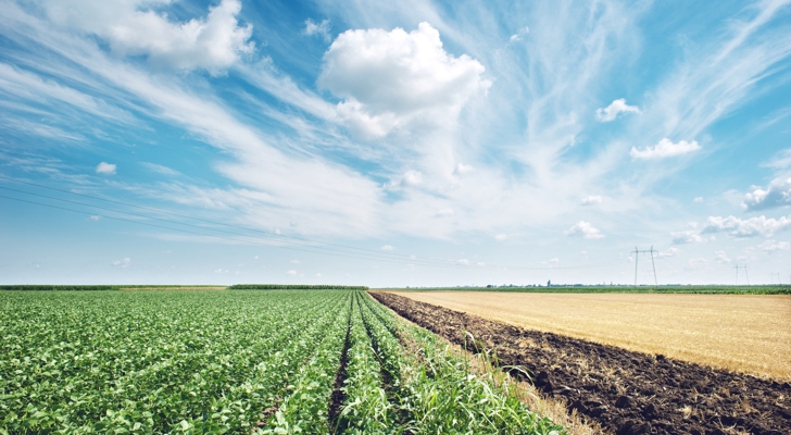 Grøn mark under blå himmel