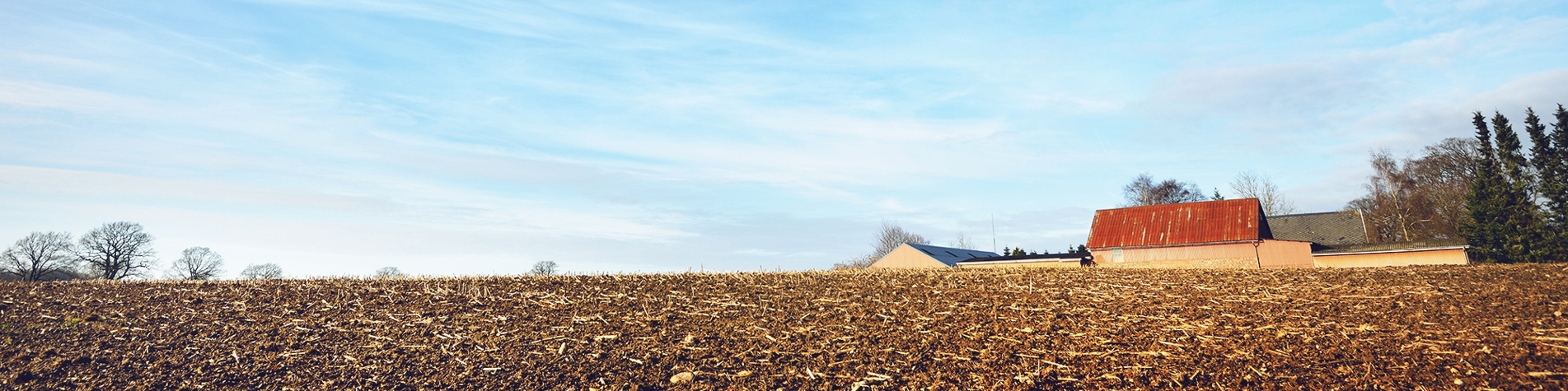 Gård på en mark med blå himmel
