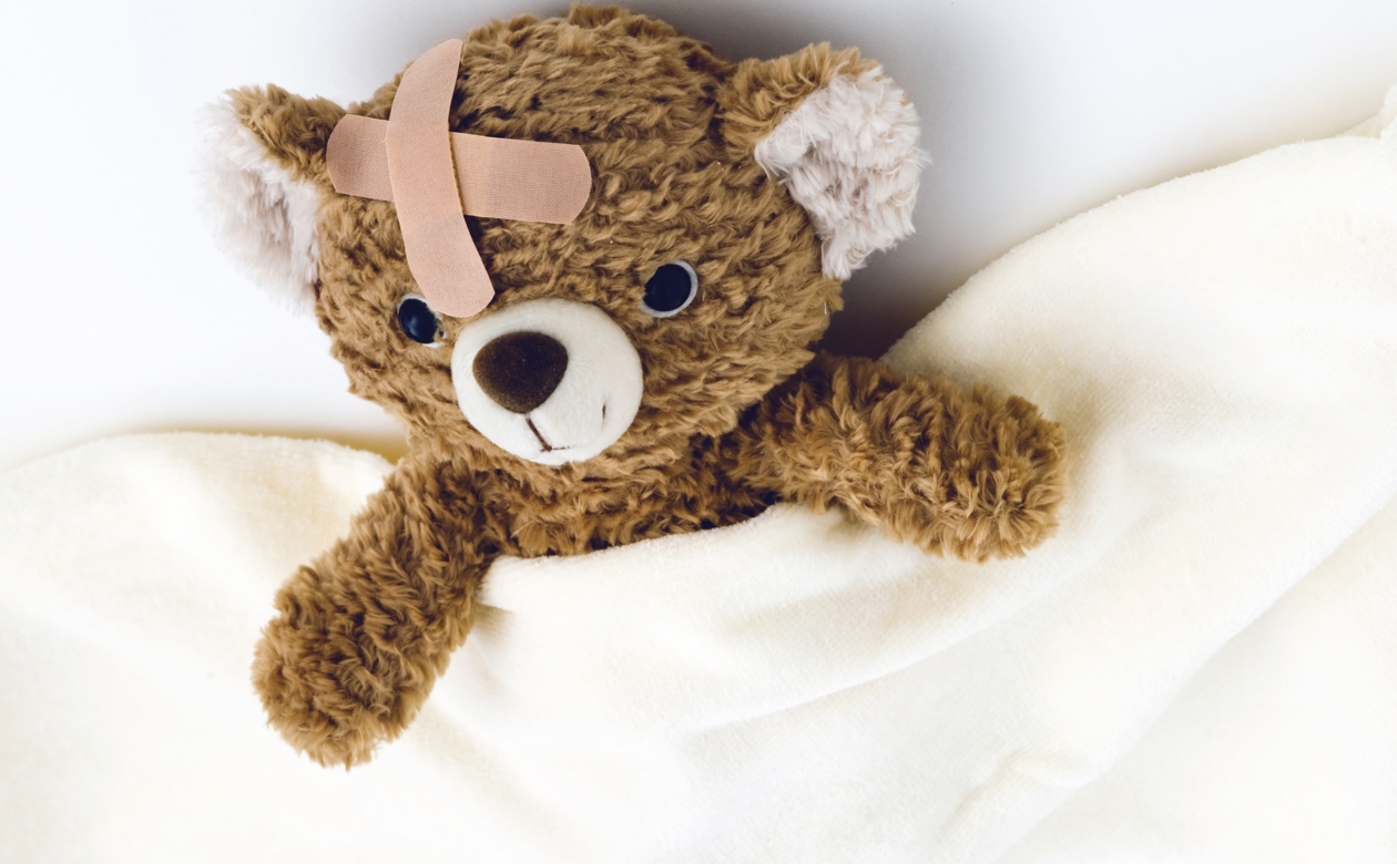 Bamse ligger under tæppe med et plaster i panden