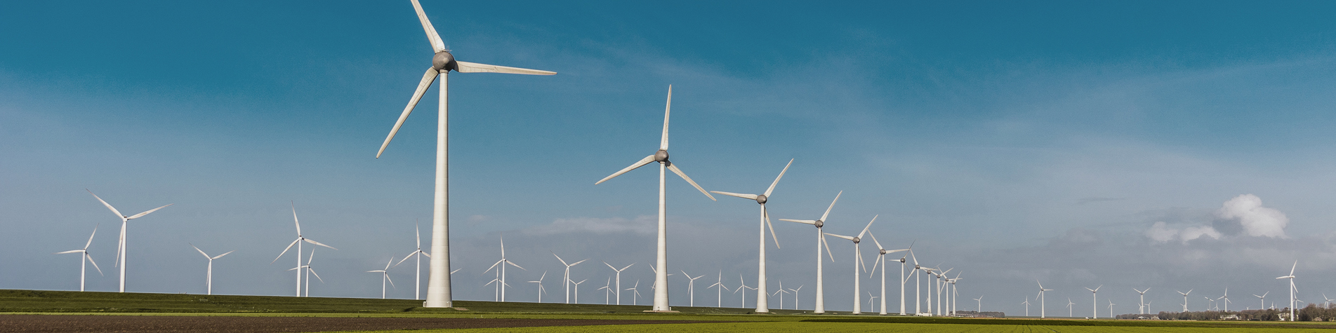 En masse vindmøller på en mark