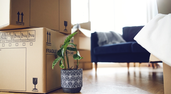 Flyttekasser, plante og sofa ved flytning