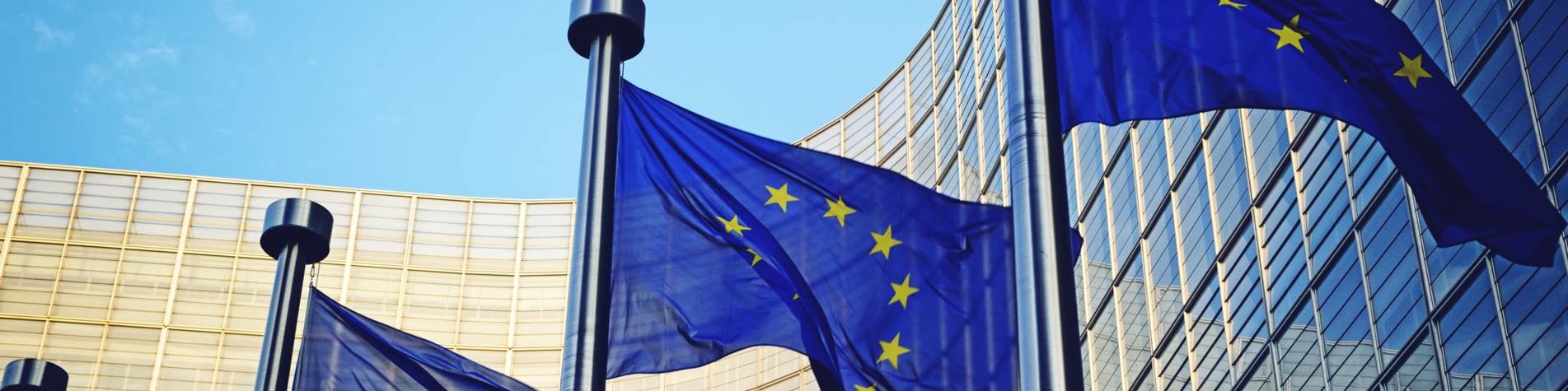EU flag