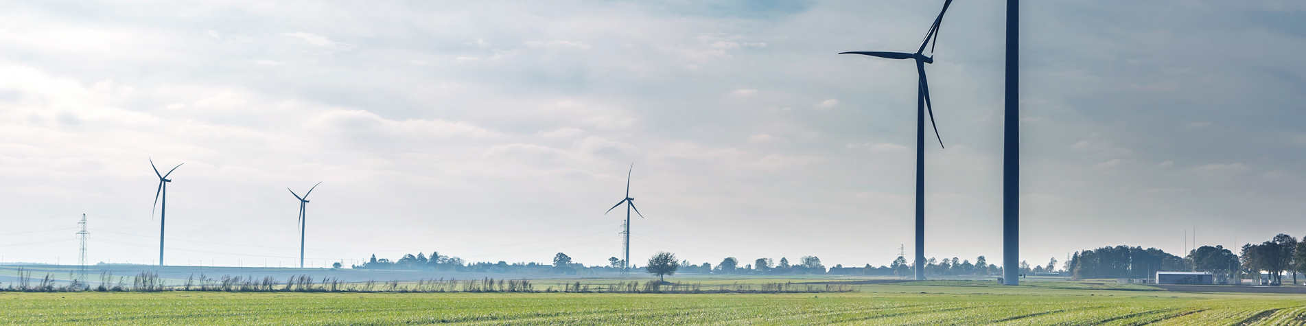Fem vindmøller på en mark i solskin